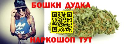 jwh Кингисепп