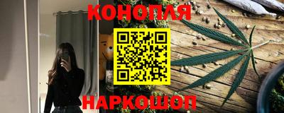 jwh Кингисепп