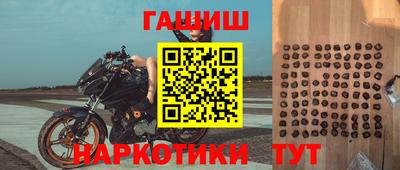 jwh Кингисепп