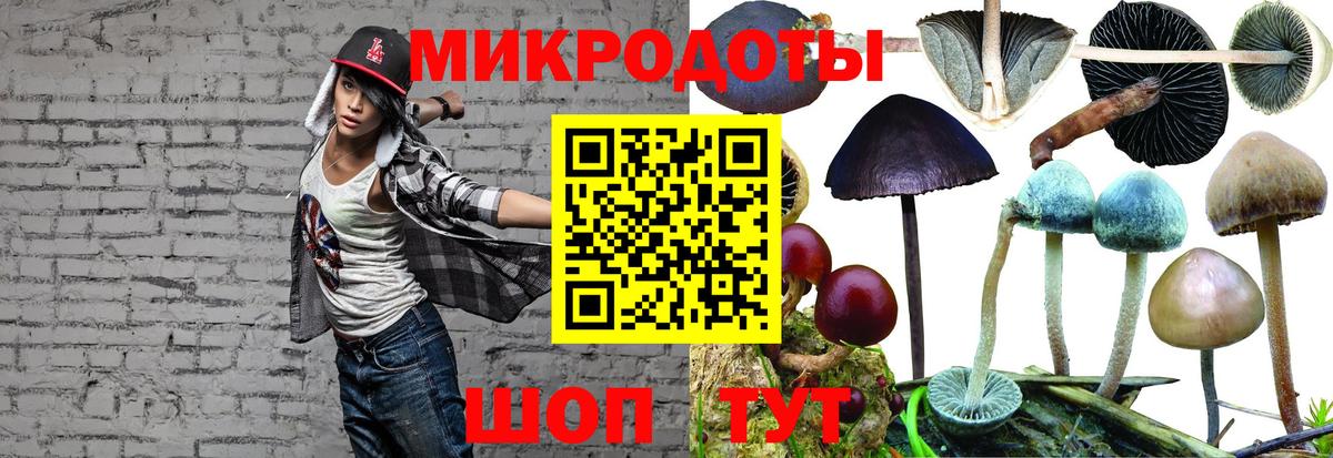 наркотики  Вход с VPN  Чистополь  Галлюциногенные грибы мухоморы 