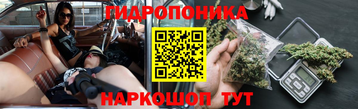Бошки Шишки Ganja  Марихуана OG Kush  Чистополь  Бошки марихуана VHQ  Шишки марихуана конопля  Вход с VPN 